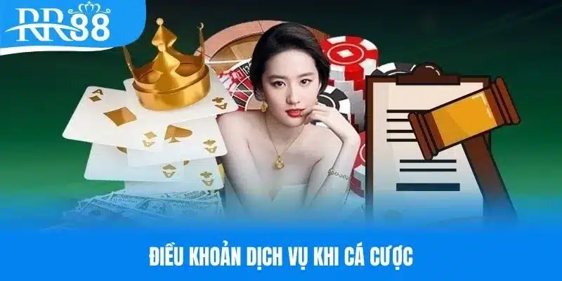 Tổng hợp điều khoản dịch vụ về hoạt động cá cược RR88